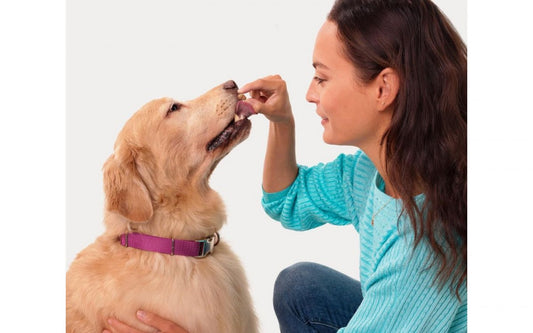 Apoquel 3.6 mg de 20 comprimidos masticables