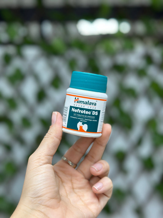 Nefrotec DS Frasco 60 tabletas