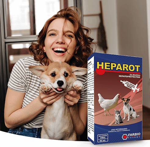 Heparot jarabe - 60ml - AvicMartin Farmacia Veterinaria