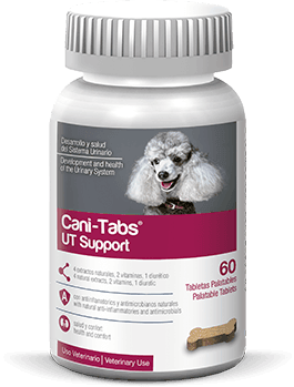 Cani-tabs UT Support frasco de 60 tabletas - AvicMartin Farmacia Veterinaria