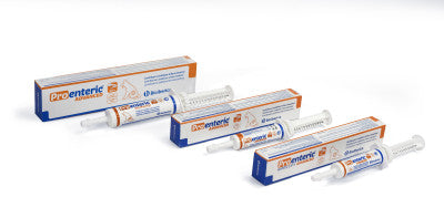 Proenteric advanced pasta para gatos en jeringa de 15ml