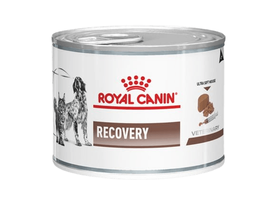 Recovery comida en lata de 195g - AvicMartin Farmacia Veterinaria