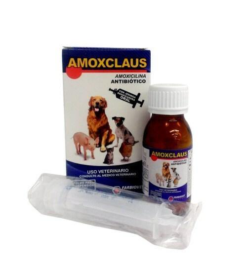 AMOXCLAUS JARABE X 60ML - AvicMartin Mascota Jardín y Hogar