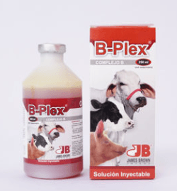 Vitamina b-plex Inyectable - AvicMartin Farmacia Veterinaria
