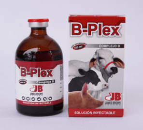 Vitamina b-plex Inyectable - AvicMartin Farmacia Veterinaria