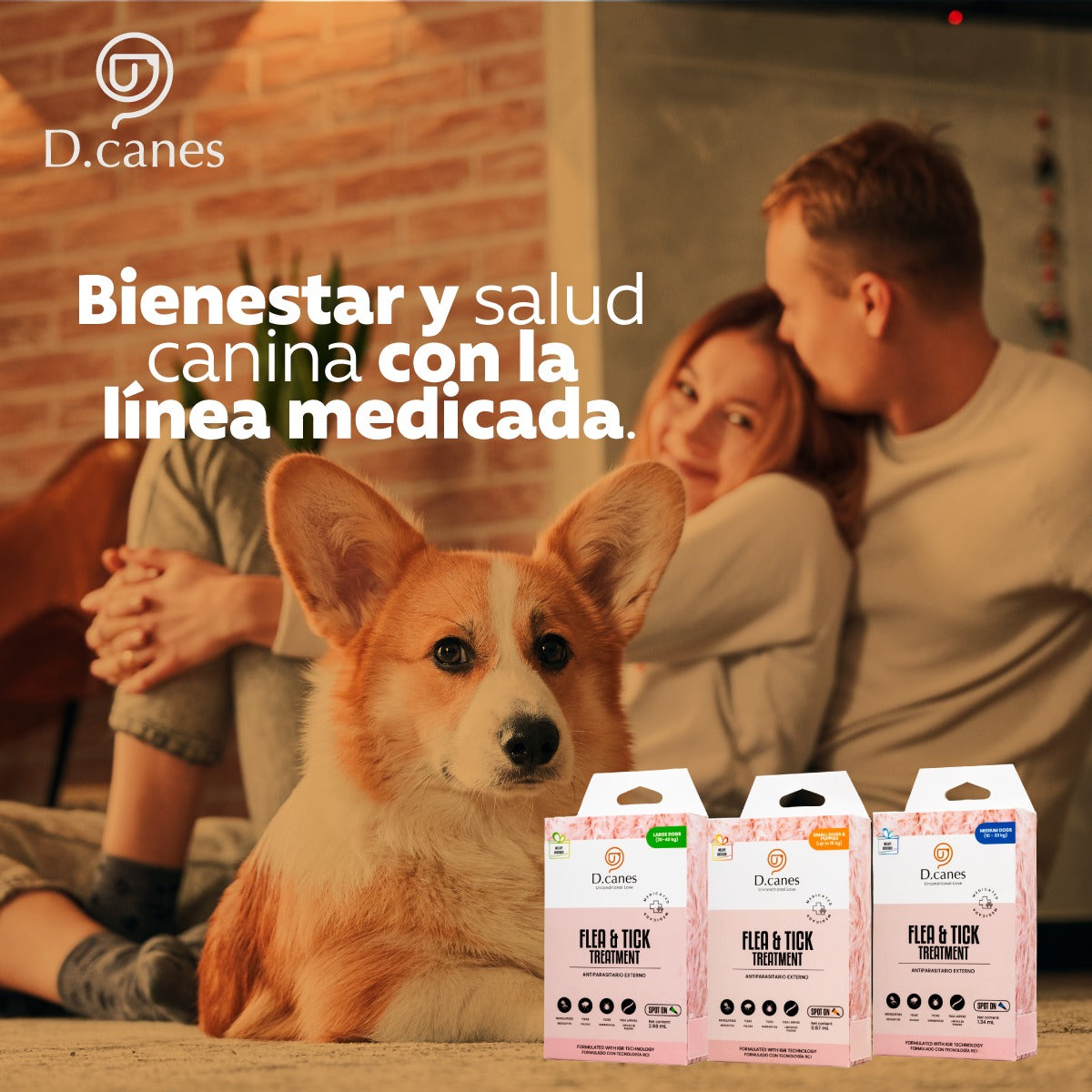 Pipeta D´Canes para perros