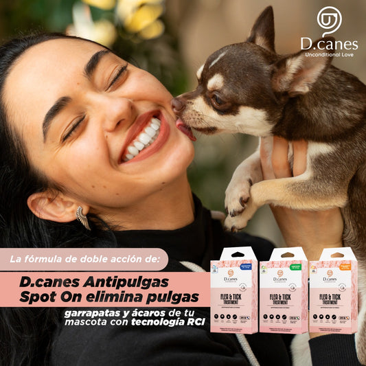 Pipeta D´Canes para perros