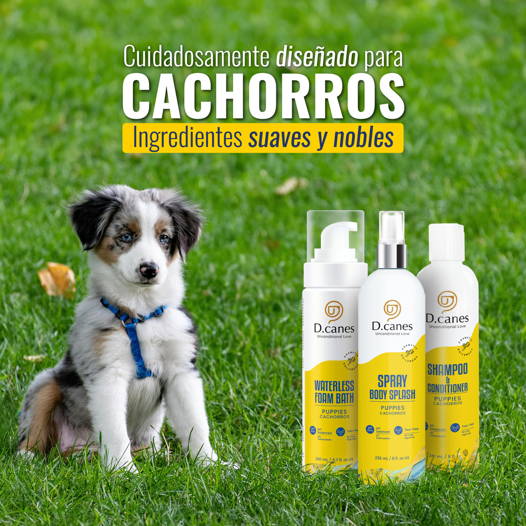 Shampoo + acondicionador para cachorros D Canes de 236mL