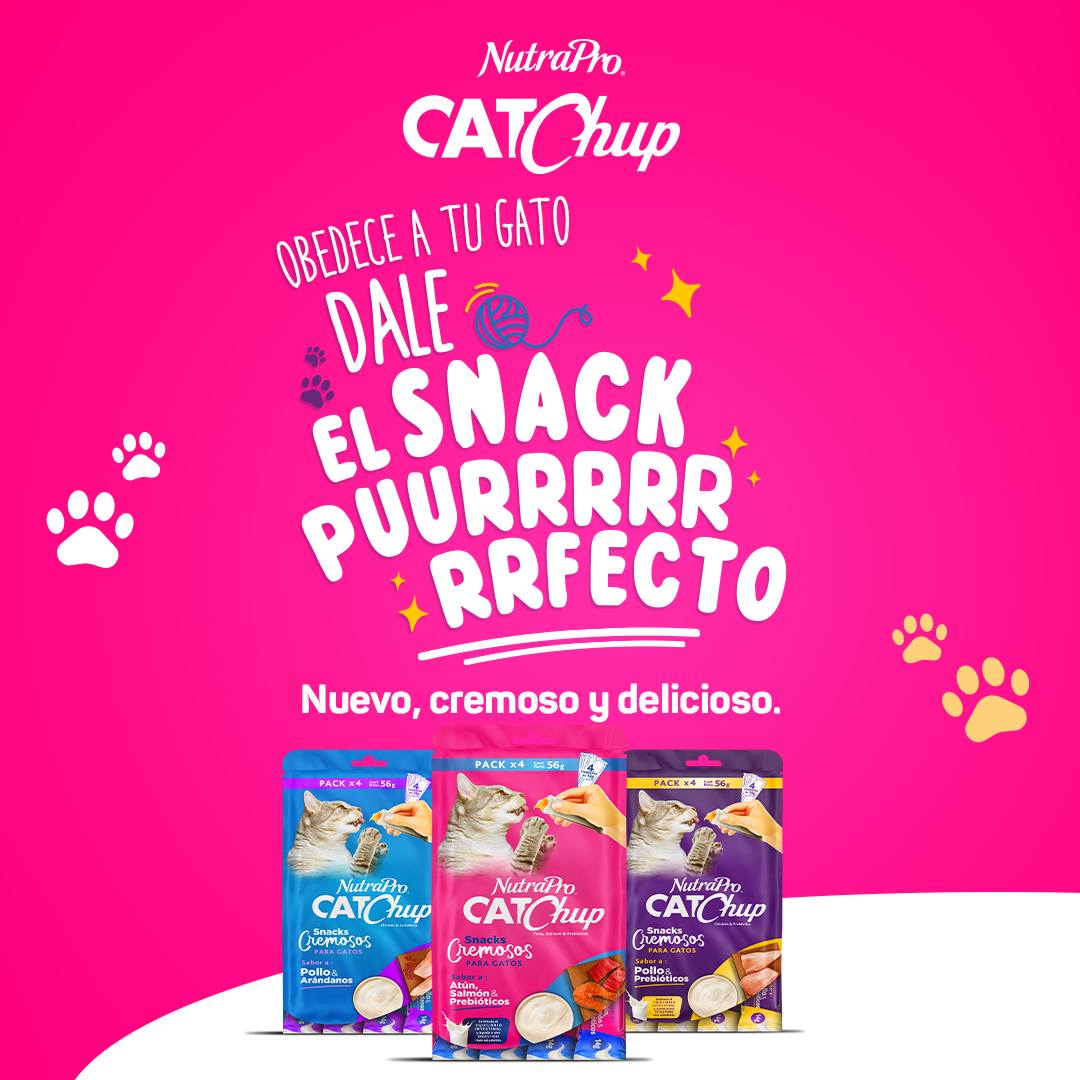 Cat Chup  Pack 4 de 56g