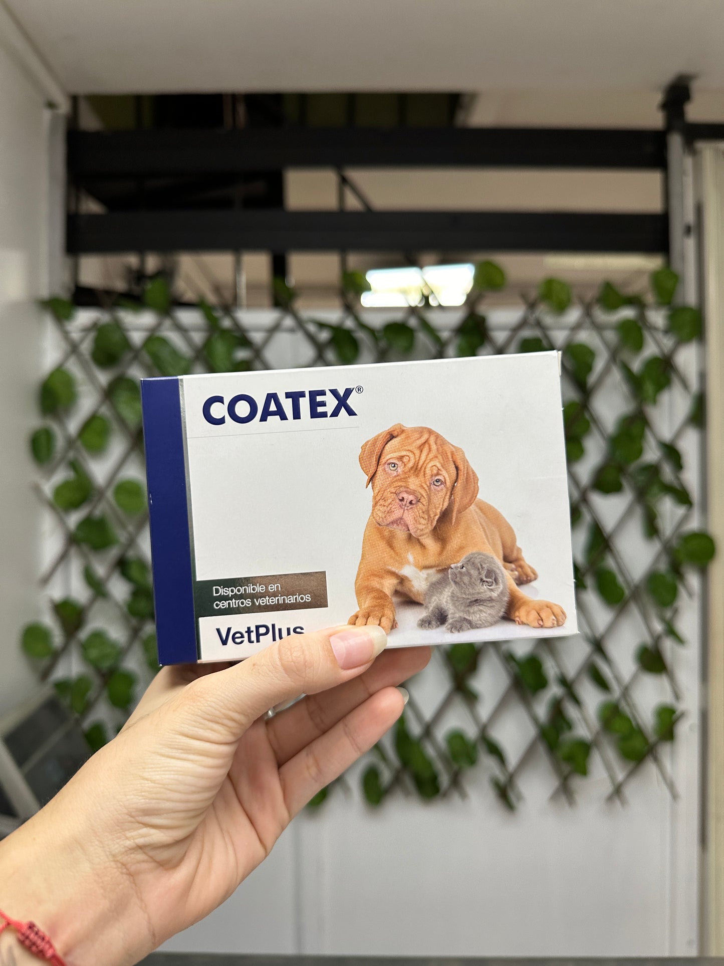 Coatex cápsulas de Omegas x Unidad