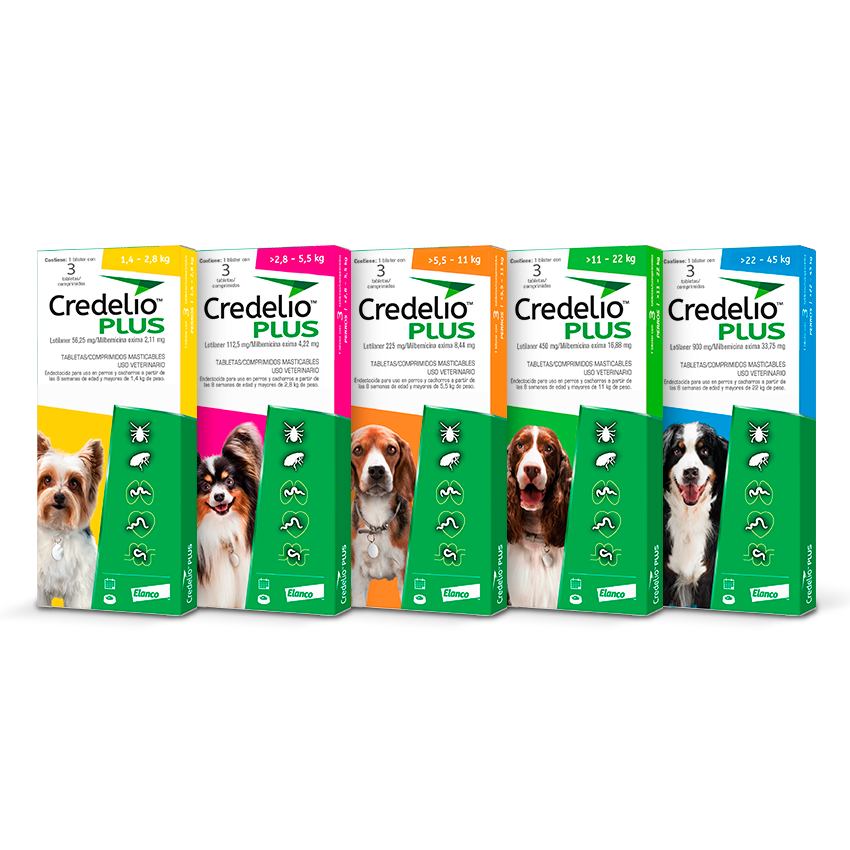 Credelio PLUS mayor a 11 - 22 kg Lotinaler 450mg