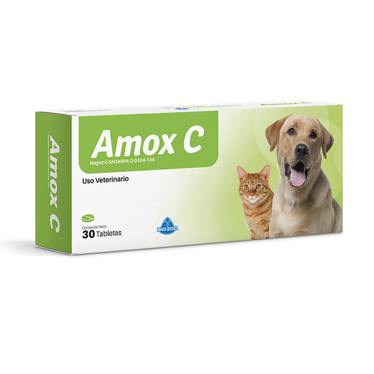 Amox C antibiotico de amplio espectro