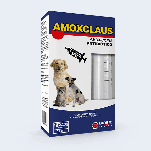 Amoxclaus Antibiótico en polvo para suspensión oral de 60mL