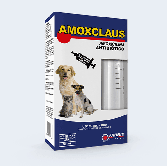 Amoxclaus jarabe - 60 ml