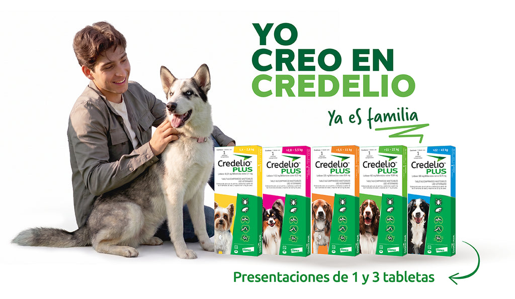 Credelio PLUS mayor a 2,8 - 5,5 kg Lotilaner 112,5 mg