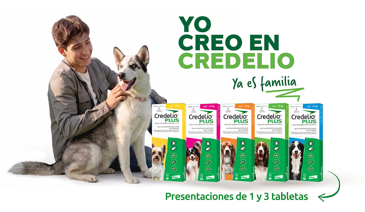 Credelio PLUS mayor a 2,8 - 5,5 kg Lotilaner 112,5 mg