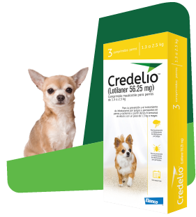 Credelio Lotilaner 56.25 mg para perros de 1.3 a 2.5kg