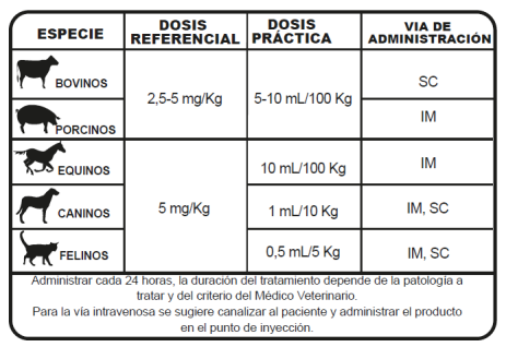 Enflox 5% enrofloxacino inyectable