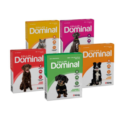 Collar Dominal perros grandes