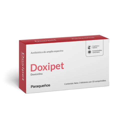 Doxipet Doxiciclina antibiotico 100mg
