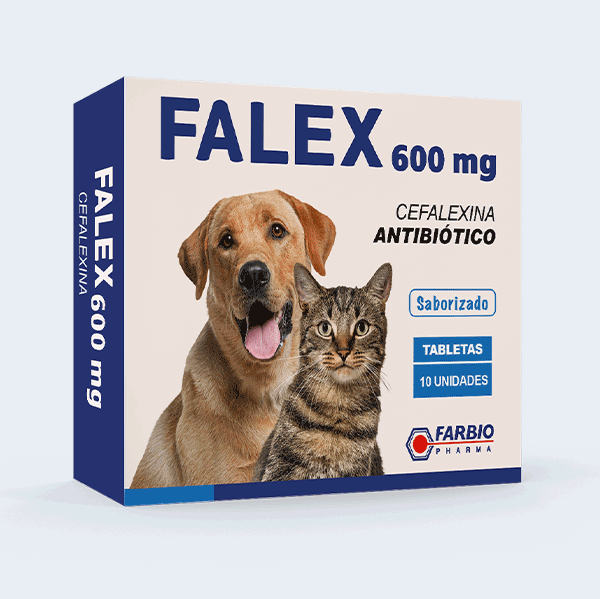 Falex cefalexina 600mg