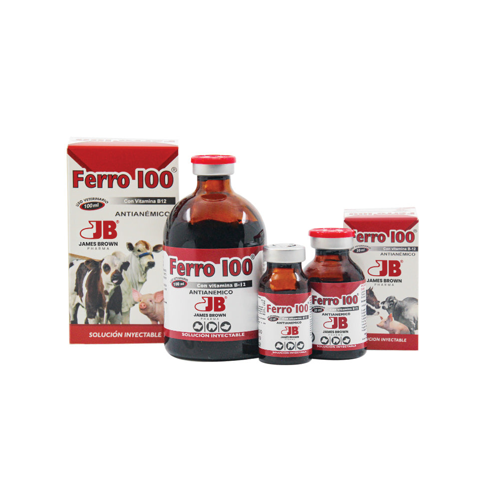 Ferro 100 antianémico inyectable