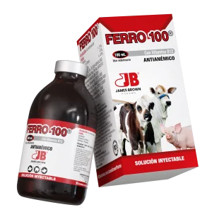 Ferro 100 antianémico inyectable