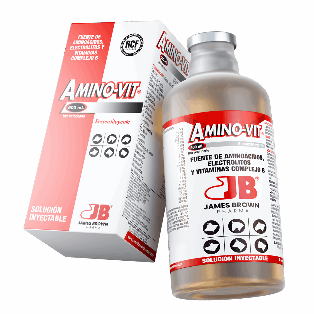 Aminovit Solución Inyectable. Fuente de Aminoácidos, Electrolitos y Vitaminas del Complejo B.