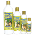 Shampoo Canino - P.A Dogs - AvicMartin Farmacia Veterinaria 