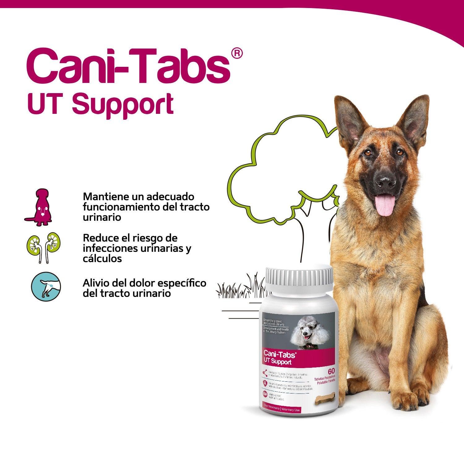 Cani-tabs UT Support frasco de 60 tabletas - AvicMartin Farmacia Veterinaria 