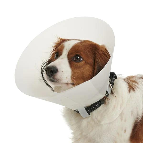 Collar Isabelino sin ajuste - AvicMartin Farmacia Veterinaria 