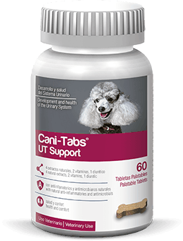 Cani-tabs UT Support frasco de 60 tabletas - AvicMartin Farmacia Veterinaria 
