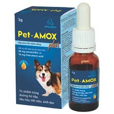 Pet-AMOX polvo para suspensión oral de 3g