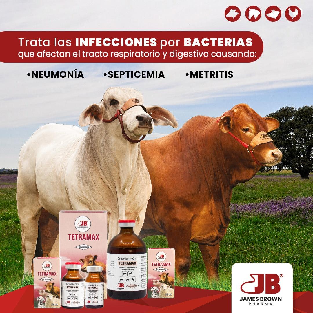 Tetramax - Inyectable - AvicMartin Farmacia Veterinaria 