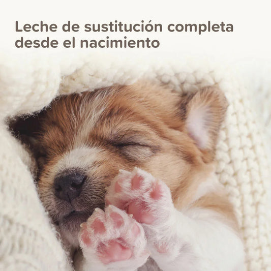 Lactol Puppy milk leche para perros cachorros 250g