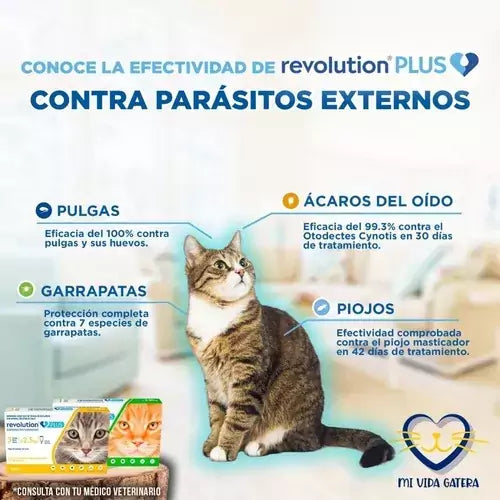 Revolution Plus para gatos desde 2.5kg hasta 5 kg