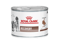 Recovery comida en lata de 195g - AvicMartin Farmacia Veterinaria 