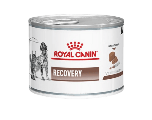 Recovery comida en lata de 195g - AvicMartin Farmacia Veterinaria 