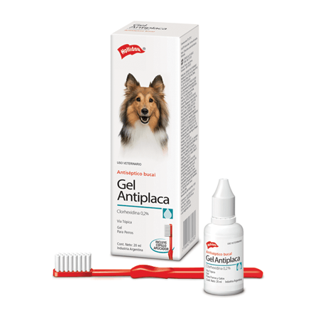 Gel antiplaca antiséptico bucal de 20ML - AvicMartin Farmacia Veterinaria 