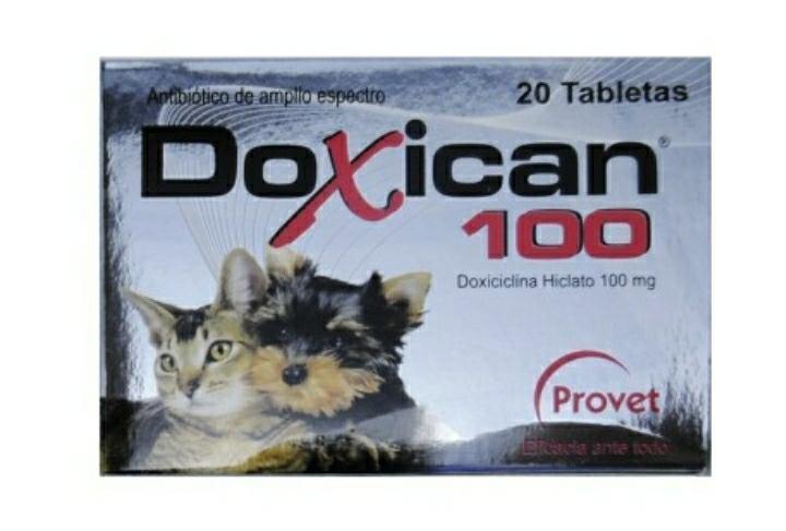 Doxican de 100mg - AvicMartin Mascota Jardín y Hogar