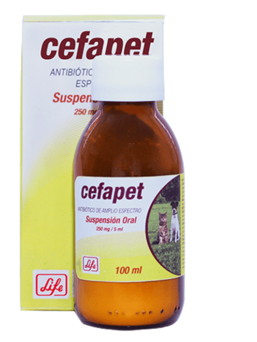 Cefapet Suspensión - AvicMartin Farmacia Veterinaria 