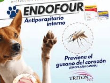 Endofour Antiparasitario Interno - AvicMartin Farmacia Veterinaria 