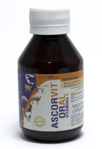 Ascorvit oral - Vitamina C - AvicMartin Farmacia Veterinaria 