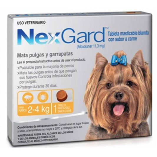 NexGard - AvicMartin Farmacia Veterinaria 